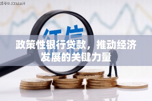 泸溪政策性银行贷款，推动经济发展的关键力量
