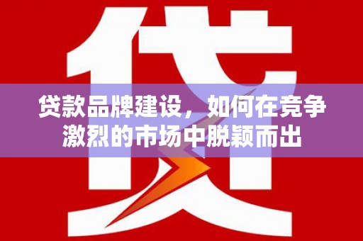 泸溪贷款品牌建设，如何在竞争激烈的市场中脱颖而出