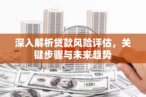 泸溪深入解析贷款风险评估，关键步骤与未来趋势