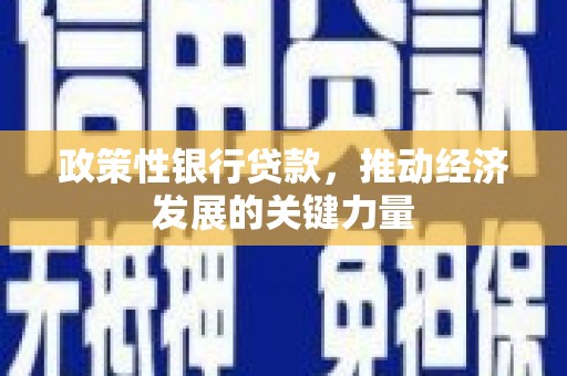 泸溪政策性银行贷款，推动经济发展的关键力量
