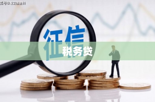 泸溪税务贷