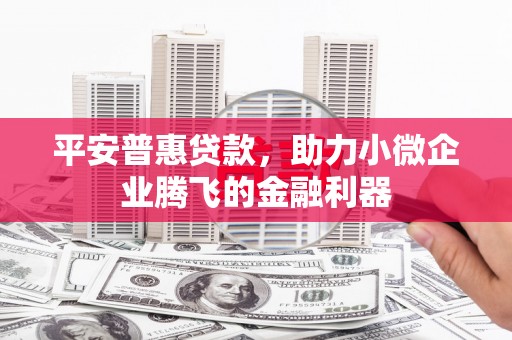泸溪平安普惠贷款，助力小微企业腾飞的金融利器