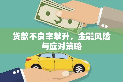 泸溪贷款不良率攀升，金融风险与应对策略