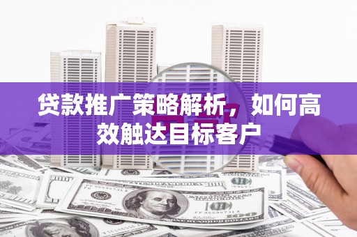 泸溪贷款推广策略解析，如何高效触达目标客户