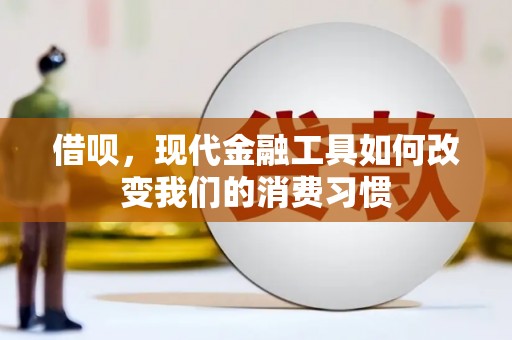 泸溪借呗，现代金融工具如何改变我们的消费习惯