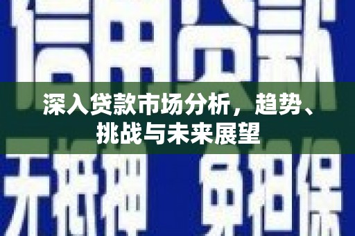 泸溪深入贷款市场分析，趋势、挑战与未来展望