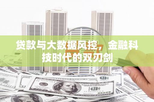 泸溪贷款与大数据风控，金融科技时代的双刃剑