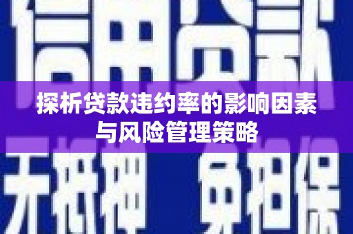 泸溪探析贷款违约率的影响因素与风险管理策略