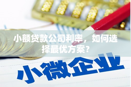 泸溪小额贷款公司利率，如何选择最优方案？