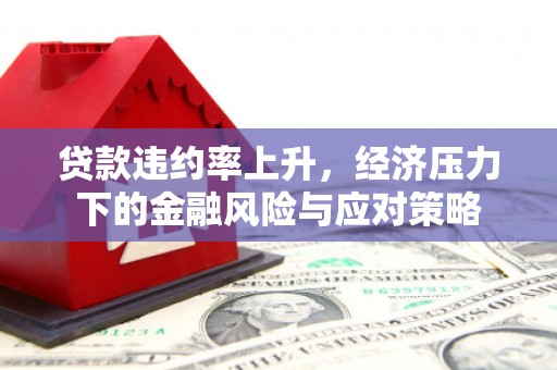 泸溪贷款违约率上升，经济压力下的金融风险与应对策略