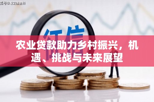 泸溪农业贷款助力乡村振兴，机遇、挑战与未来展望