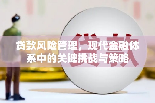 泸溪贷款风险管理，现代金融体系中的关键挑战与策略