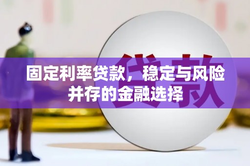 泸溪固定利率贷款，稳定与风险并存的金融选择