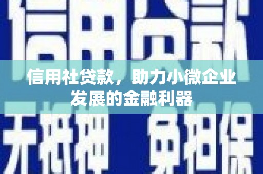 泸溪信用社贷款，助力小微企业发展的金融利器