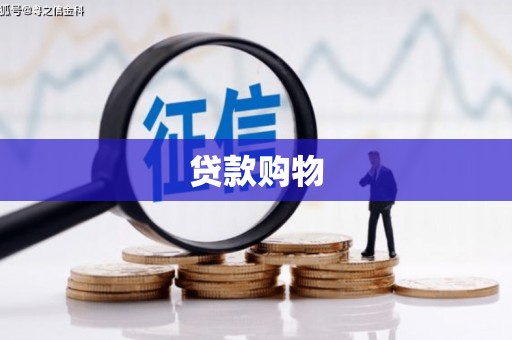 泸溪贷款购物