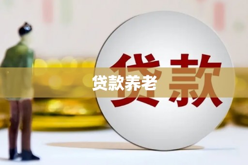 泸溪贷款养老