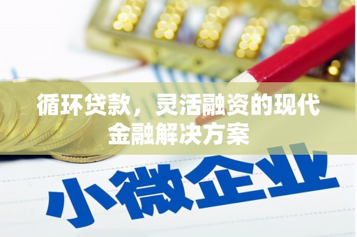 泸溪循环贷款，灵活融资的现代金融解决方案