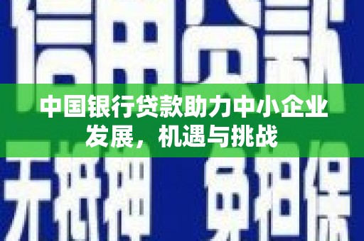 泸溪中国银行贷款助力中小企业发展，机遇与挑战