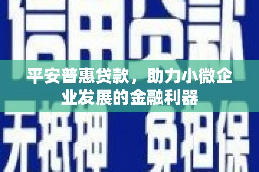 泸溪平安普惠贷款，助力小微企业发展的金融利器