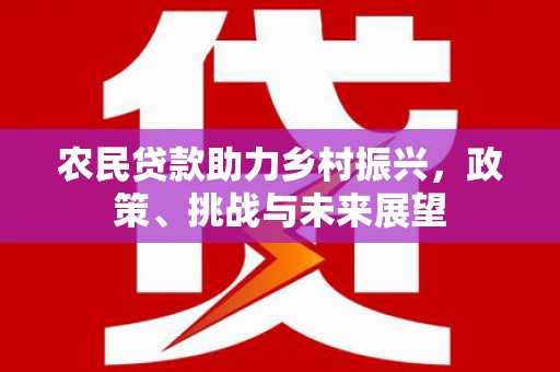 泸溪农民贷款助力乡村振兴，政策、挑战与未来展望