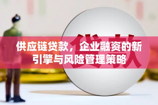 泸溪供应链贷款，企业融资的新引擎与风险管理策略