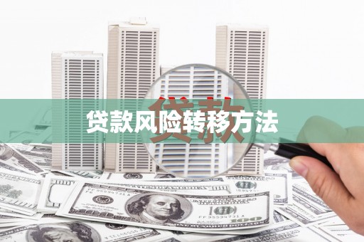 泸溪贷款风险转移方法