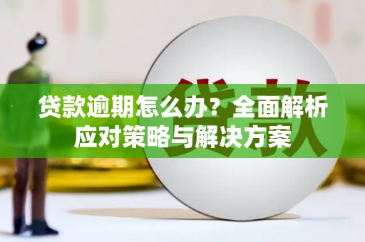 泸溪贷款逾期怎么办？全面解析应对策略与解决方案