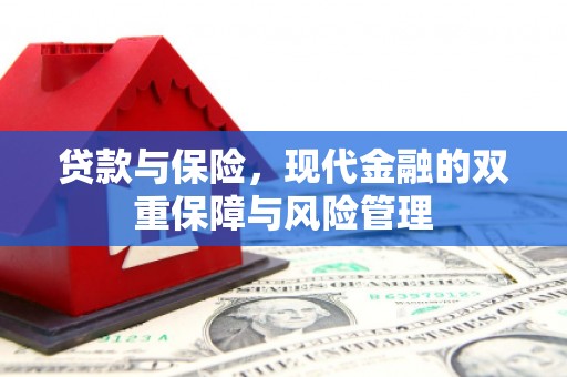 泸溪贷款与保险，现代金融的双重保障与风险管理
