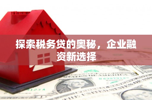 泸溪探索税务贷的奥秘，企业融资新选择