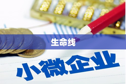 泸溪生命线