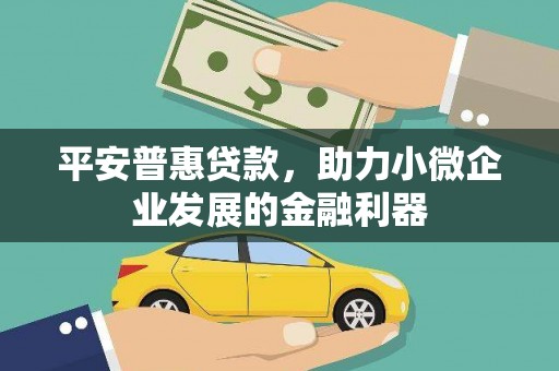 泸溪平安普惠贷款，助力小微企业发展的金融利器