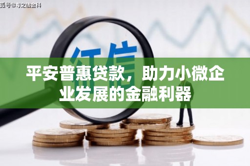 泸溪平安普惠贷款，助力小微企业发展的金融利器