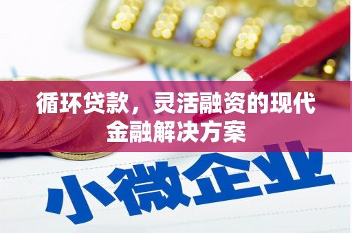 泸溪循环贷款，灵活融资的现代金融解决方案