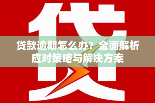 泸溪贷款逾期怎么办？全面解析应对策略与解决方案