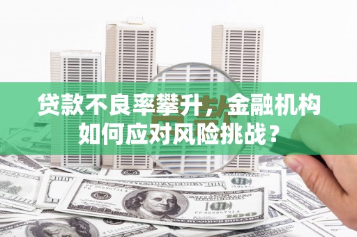 泸溪贷款不良率攀升，金融机构如何应对风险挑战？