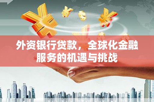 泸溪外资银行贷款，全球化金融服务的机遇与挑战