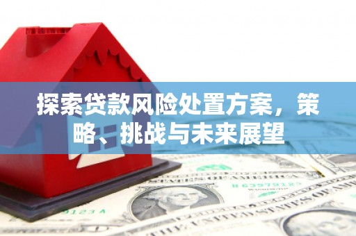泸溪探索贷款风险处置方案，策略、挑战与未来展望