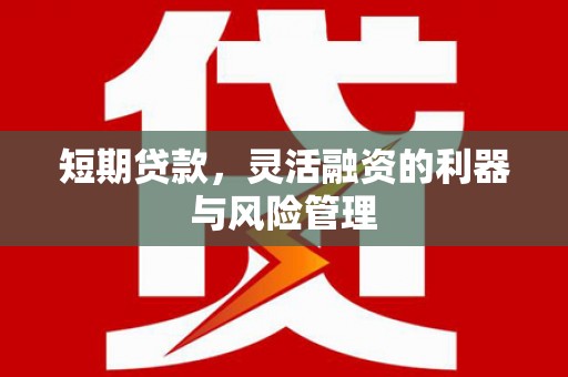 泸溪短期贷款，灵活融资的利器与风险管理