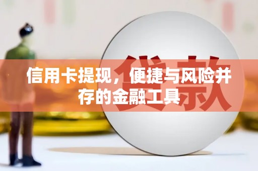 泸溪信用卡提现，便捷与风险并存的金融工具