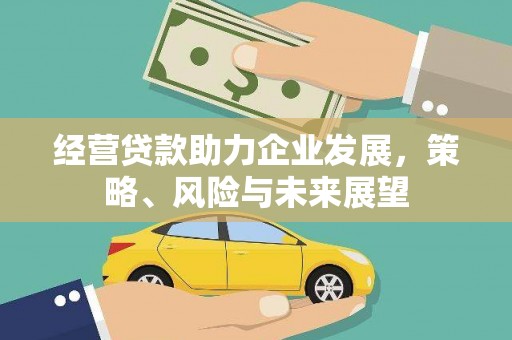 泸溪经营贷款助力企业发展，策略、风险与未来展望