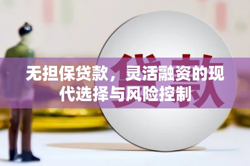 泸溪无担保贷款，灵活融资的现代选择与风险控制