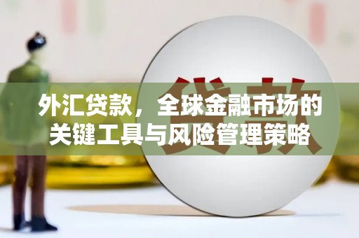 泸溪外汇贷款，全球金融市场的关键工具与风险管理策略