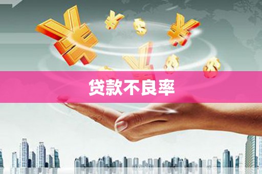 泸溪贷款不良率