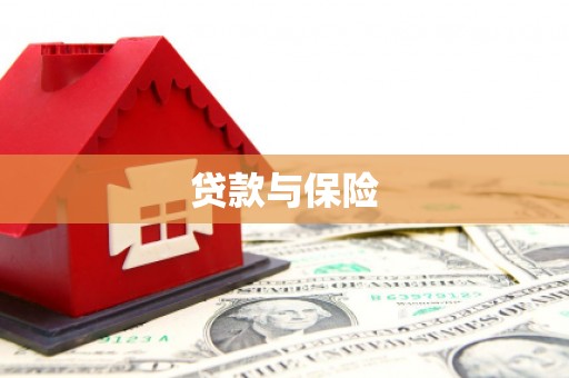 泸溪贷款与保险