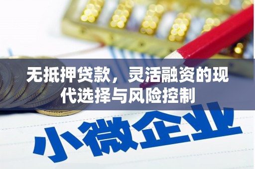 泸溪无抵押贷款，灵活融资的现代选择与风险控制