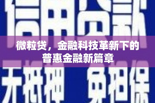 泸溪微粒贷，金融科技革新下的普惠金融新篇章