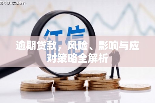 泸溪逾期贷款，风险、影响与应对策略全解析