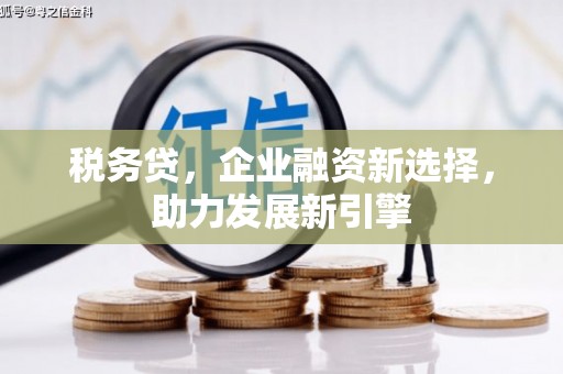 泸溪税务贷，企业融资新选择，助力发展新引擎