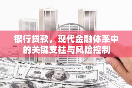 泸溪银行贷款，现代金融体系中的关键支柱与风险控制