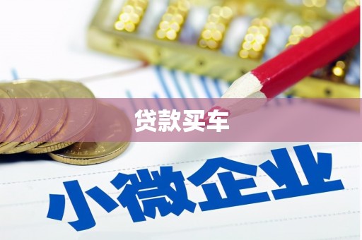 泸溪贷款买车